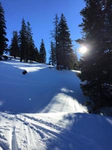 10846053_920553717963897_1849403641240325449_n