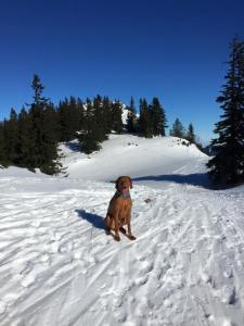 10959578_920553697963899_5039999061604690553_n