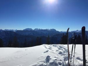 10997610_920553644630571_5206392935545333311_n