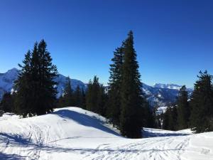 11000593_920553664630569_5247018142925726335_n