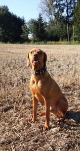 img-20160925-wa0004-kopie