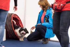 082_heimtiermesse_munchen_katharina_hein