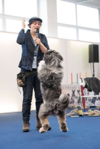 supreme_heimtiermesse_munchen_katharina_hein