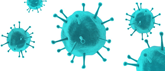 Virus und Viren