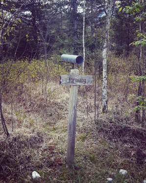 Screenshot_20170505-111800