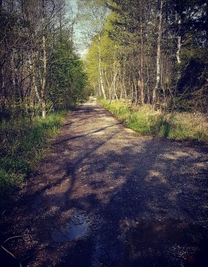 Screenshot_20170505-112627