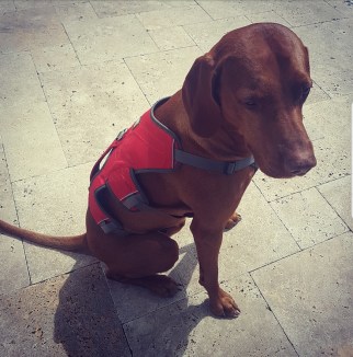 Screenshot_20170630-152448