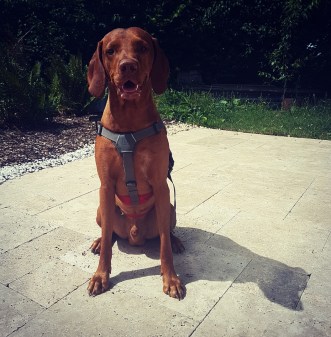 Screenshot_20170630-152654