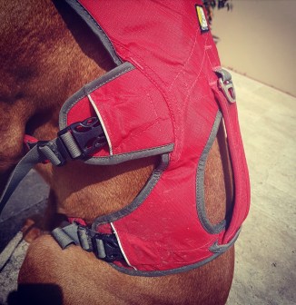 Screenshot_20170630-152727