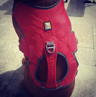 Screenshot_20170630-152806