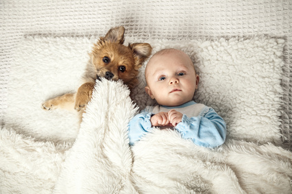 Baby schlft mit Welpe in einem Bett