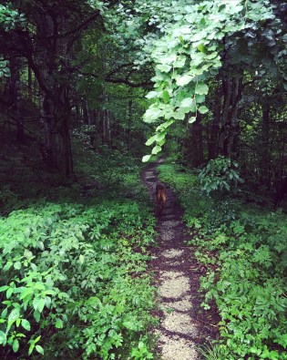 Screenshot_20170718-185447