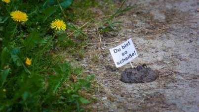 Der Umwelt zur Liebe beachten
