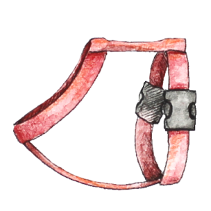 Geschirr_transparenter Hintergrund_Aram und Abra.png