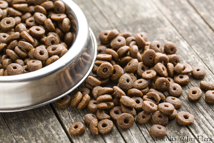 Dry kibble dog food.