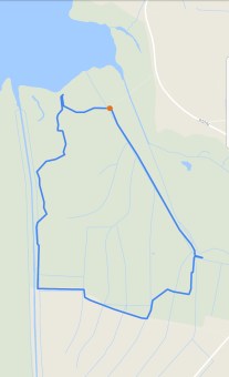 Screenshot_20180313-102601