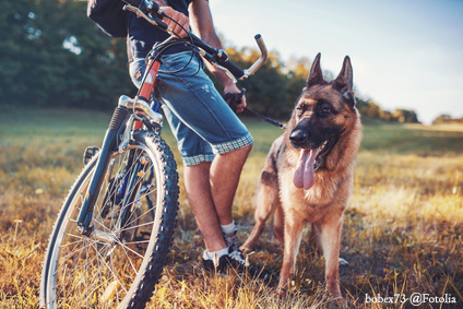 Dog owner with his pet in the park. Pets and animals concept