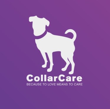 screenshot_20181109-085635_collarcare